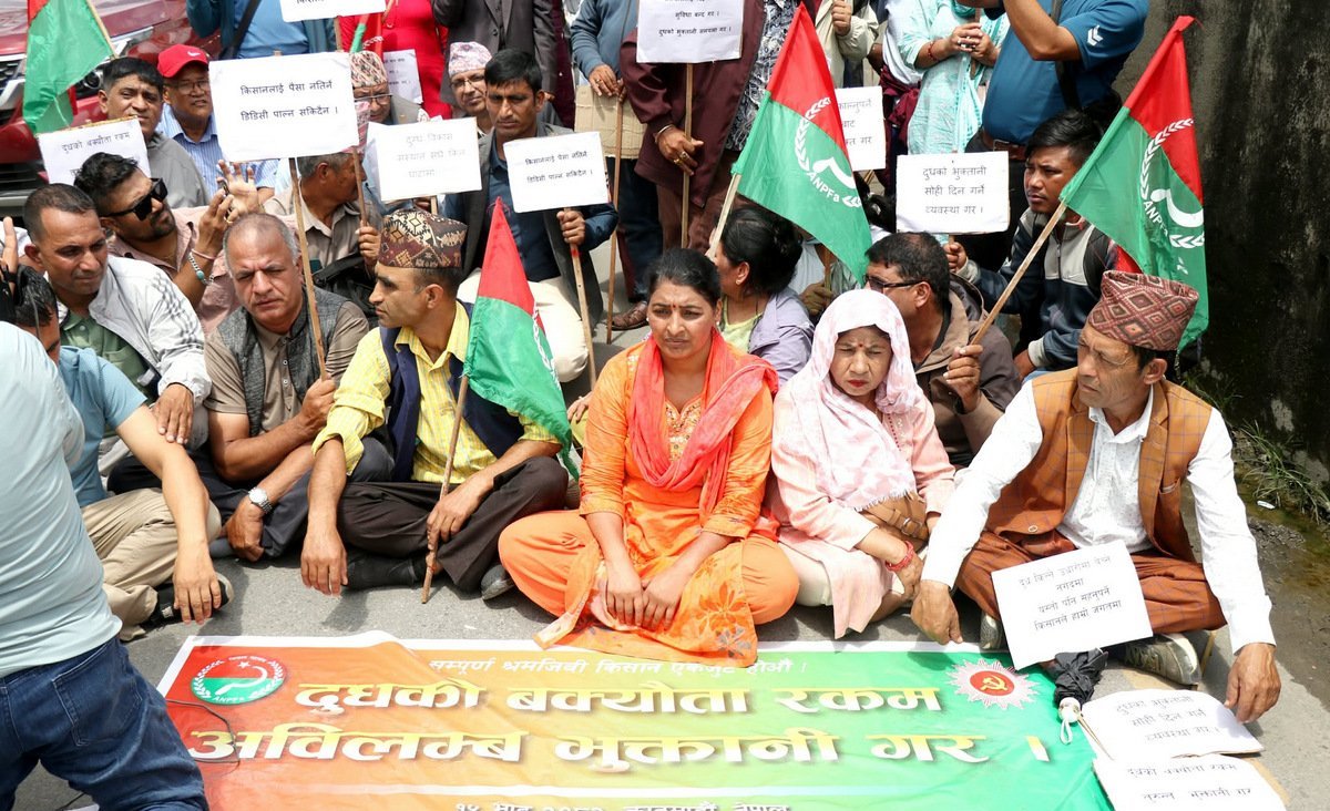 आज डीडीसी कार्यालयको गेटमा दुध उत्पादक किसानको धर्ना