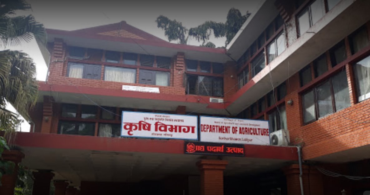 वन्यजन्तुले किसानको बारी उजाड